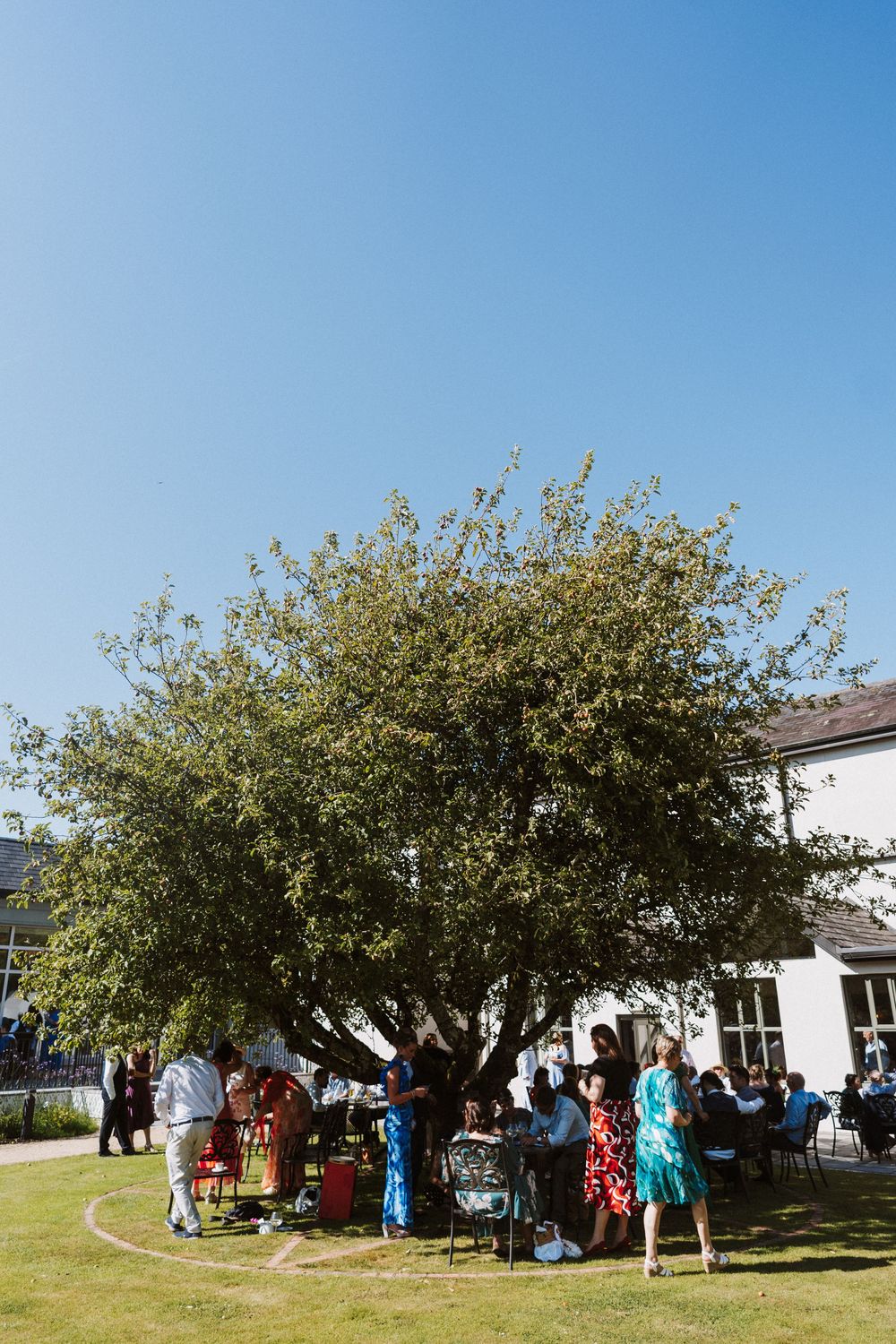 People gather outdoors around a blooming tree on a sunny day during a social event at a white building.