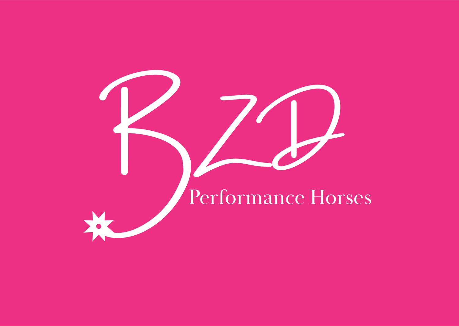 Pink logo design for BZD Performance Horses with stylized text.