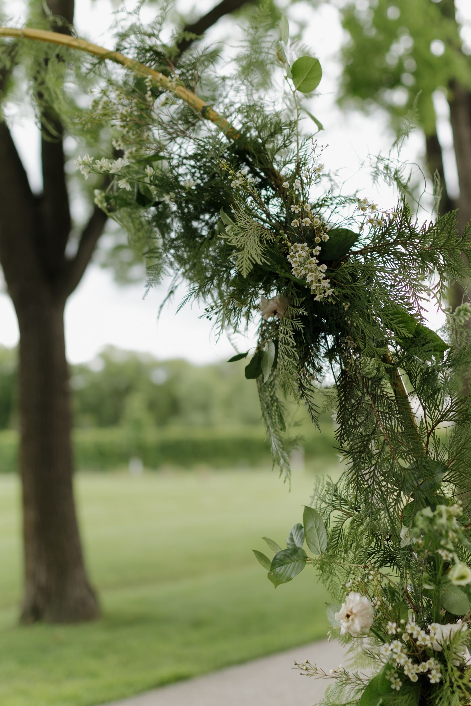 Tree branches with delicate white flowers and green foliage against a soft, blurred background.