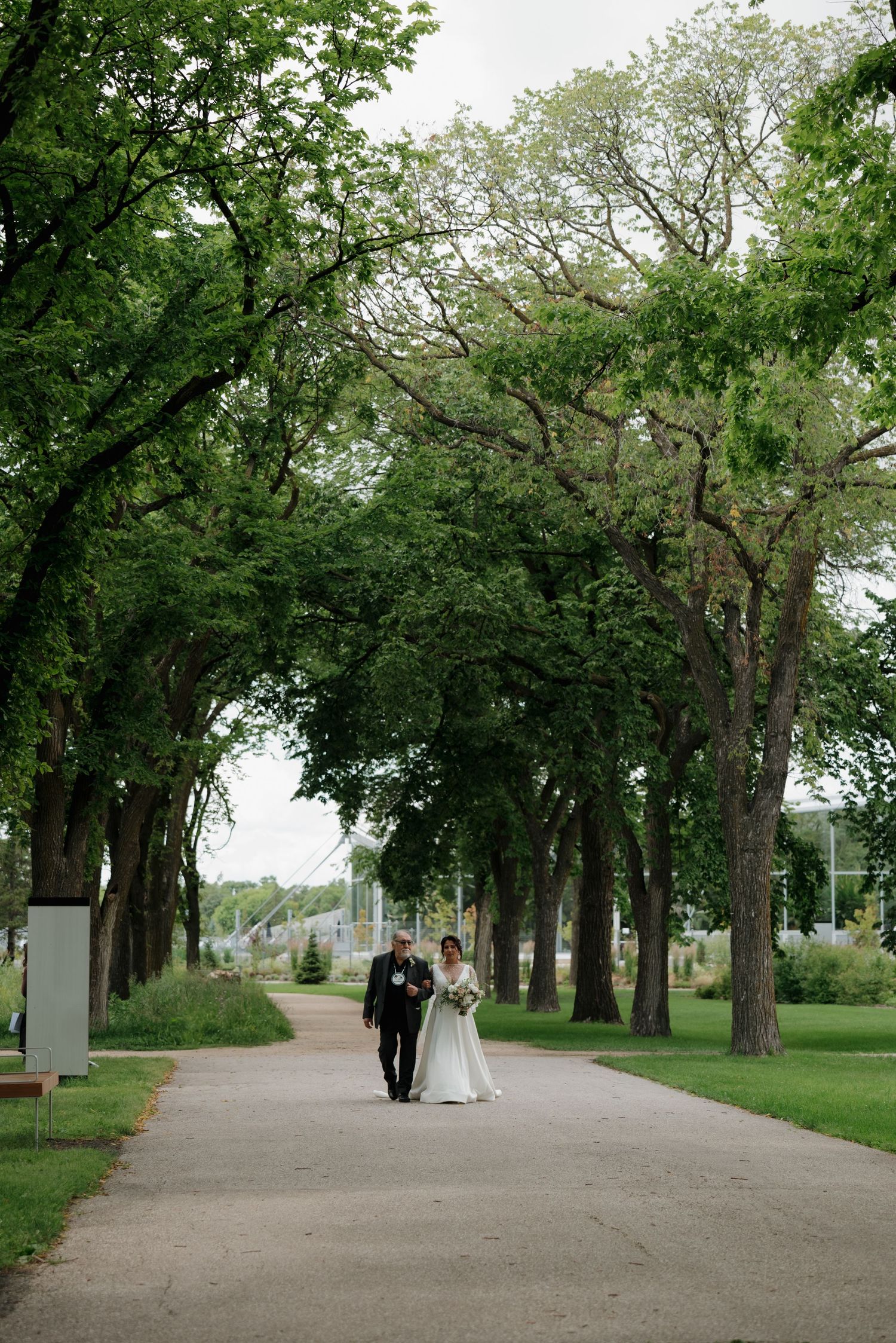 A tree-lined path in a lush green park leads to a distant wedding ceremony.