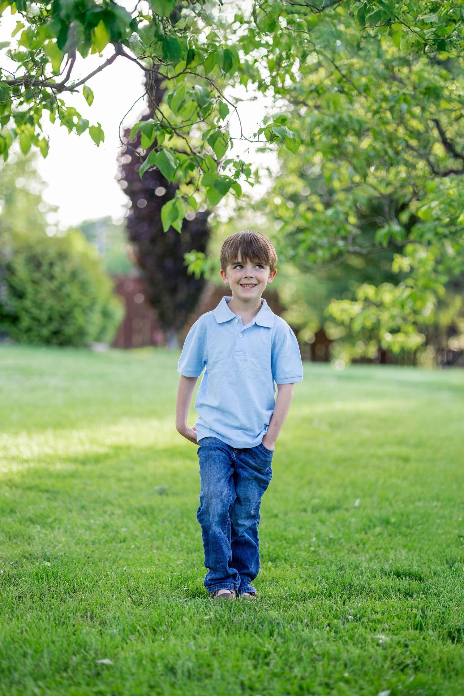 Central Illinois family photographer captures a young boy smiling and standing among trees during a photo session in Springfield, IL