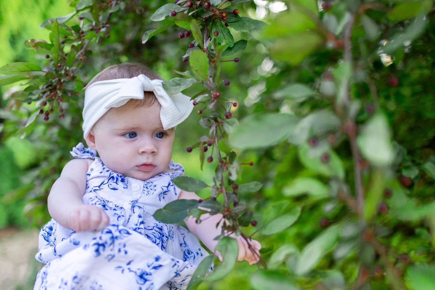 Central Illinois family photographer captures a baby girl among leaves and flowers during a photo session in Springfield, IL