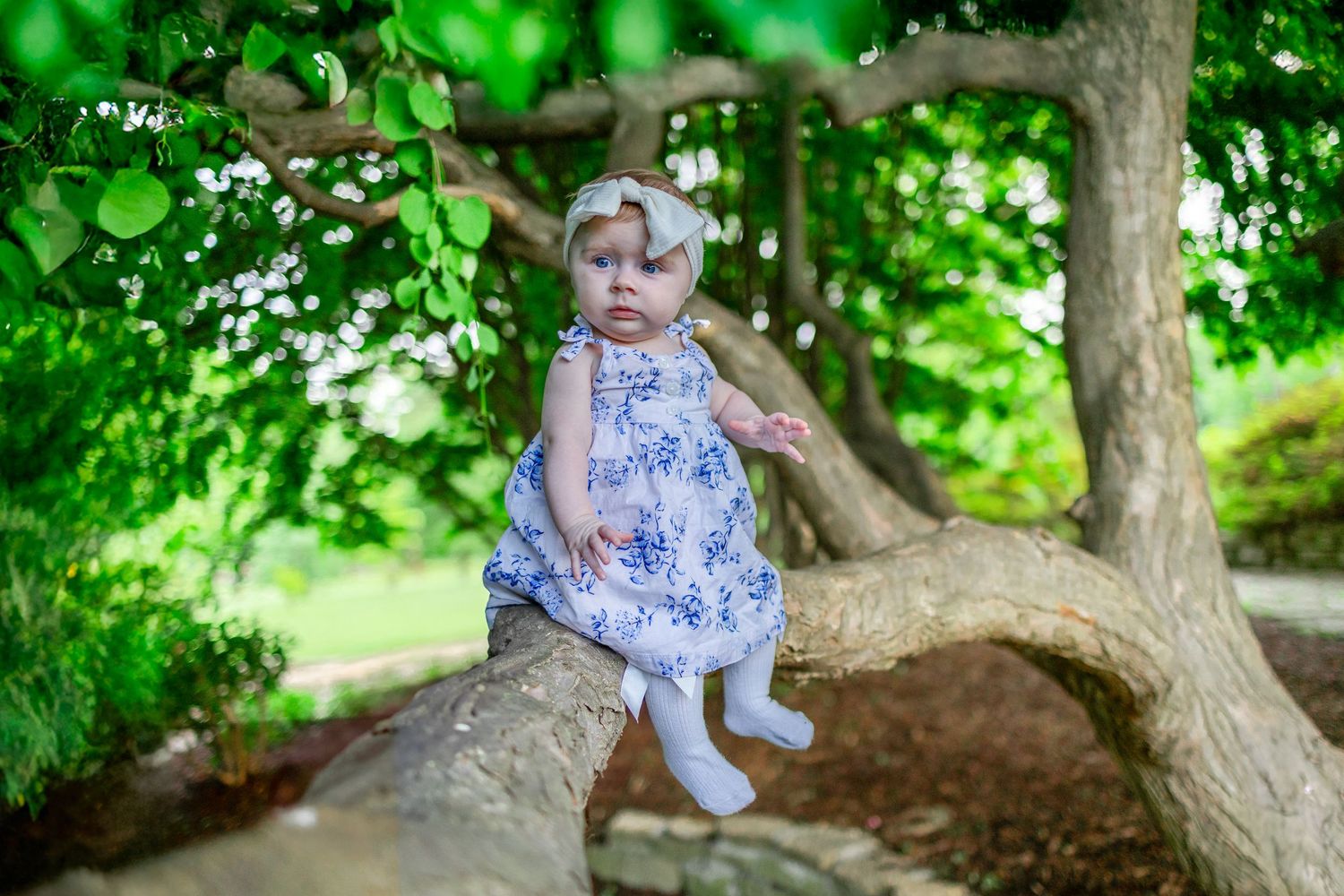 Central Illinois family photographer captures a baby girl sitting during a photo session in Springfield, IL