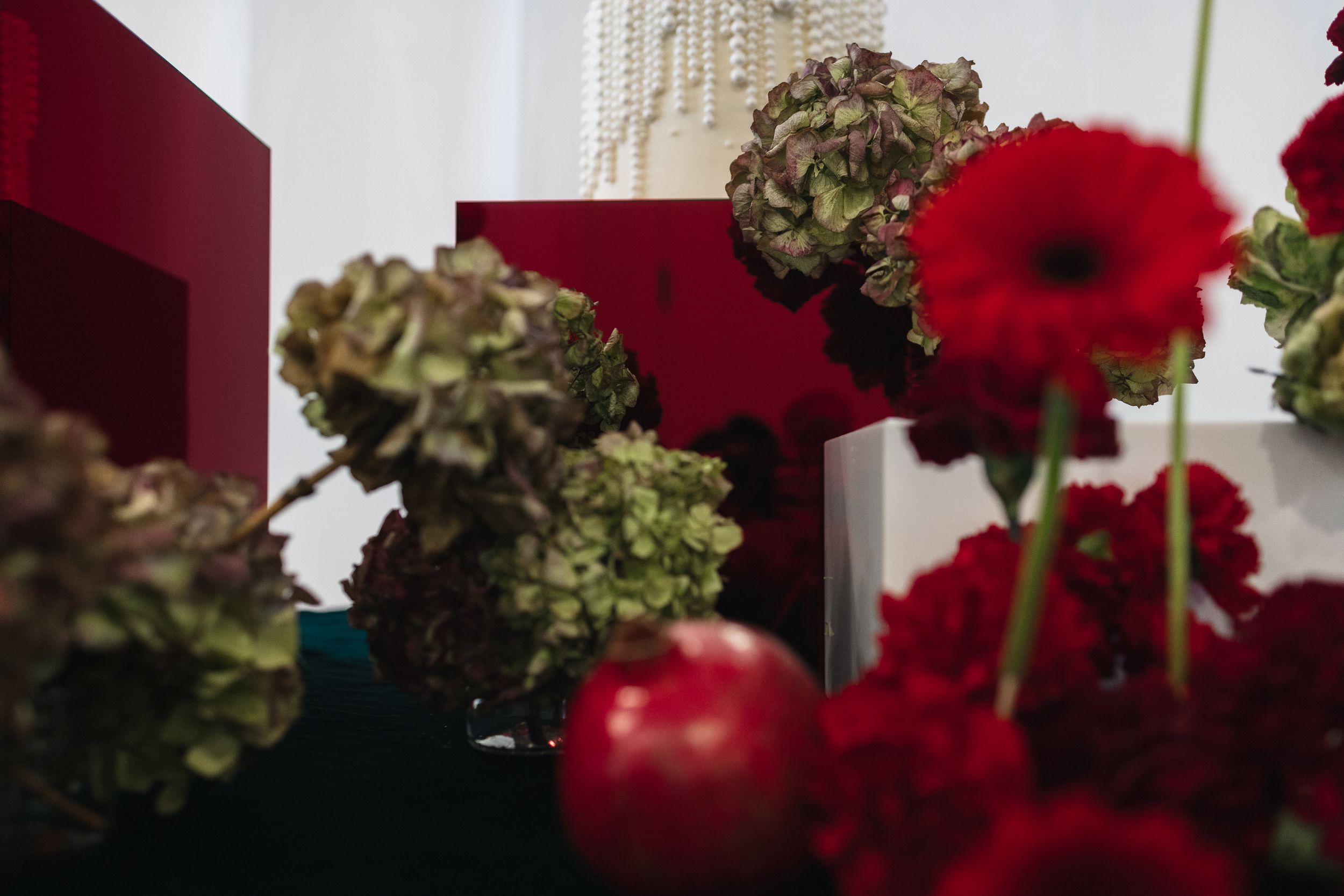 Vibrant red gerbera daisies and dried hydrangeas arranged against a deep burgundy background.