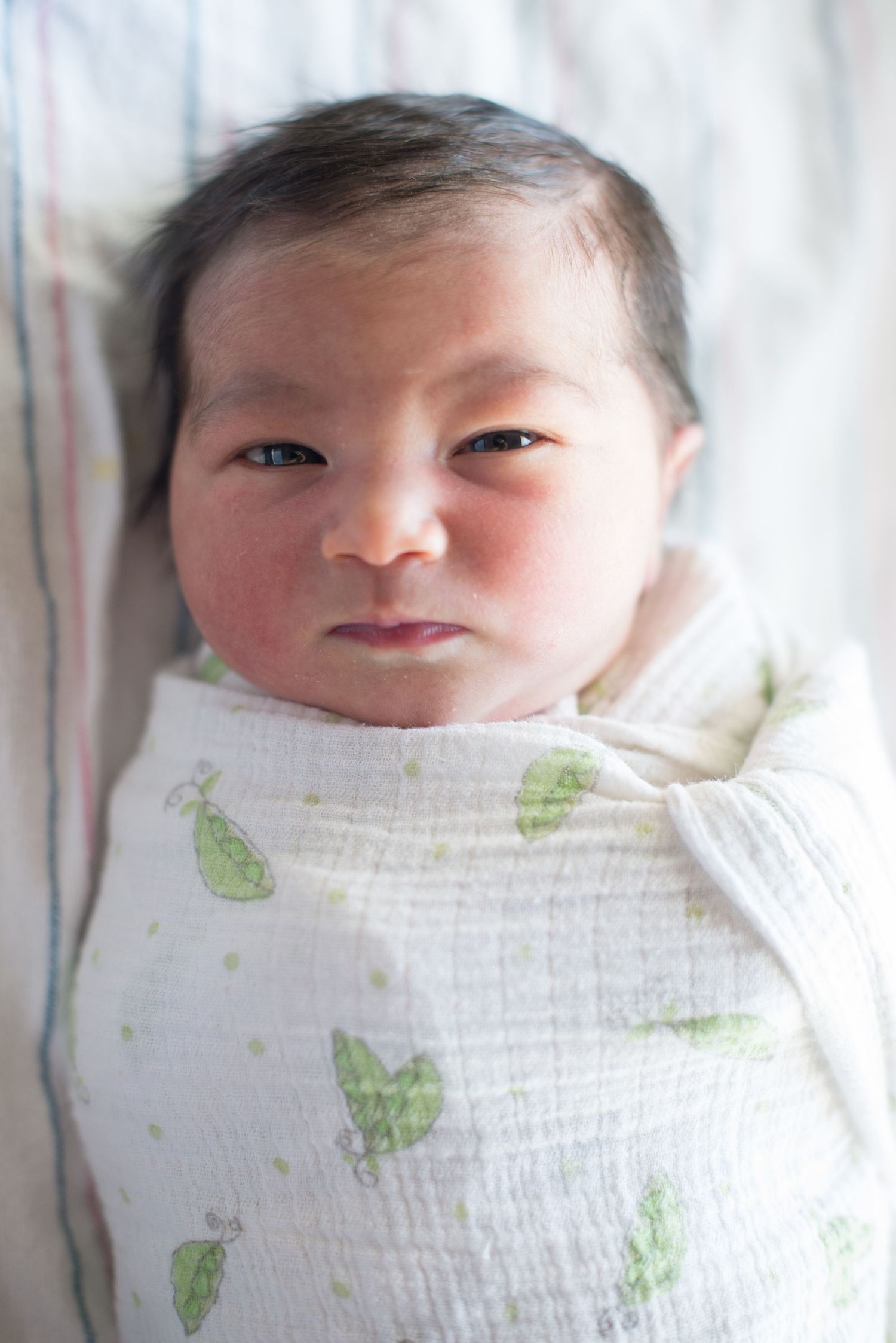Newborn baby swaddled in white muslin blanket with green patterns against light background.  Fresno Fresh 48 Hospital Photographer