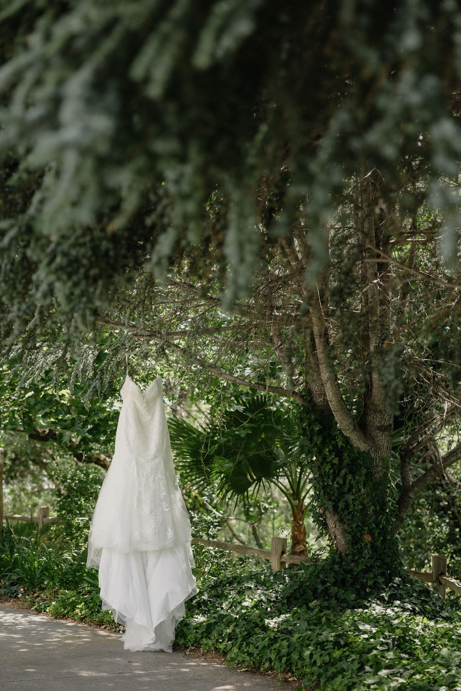 White wedding dress hanging elegantly against lush green garden foliage in natural outdoor lighting.