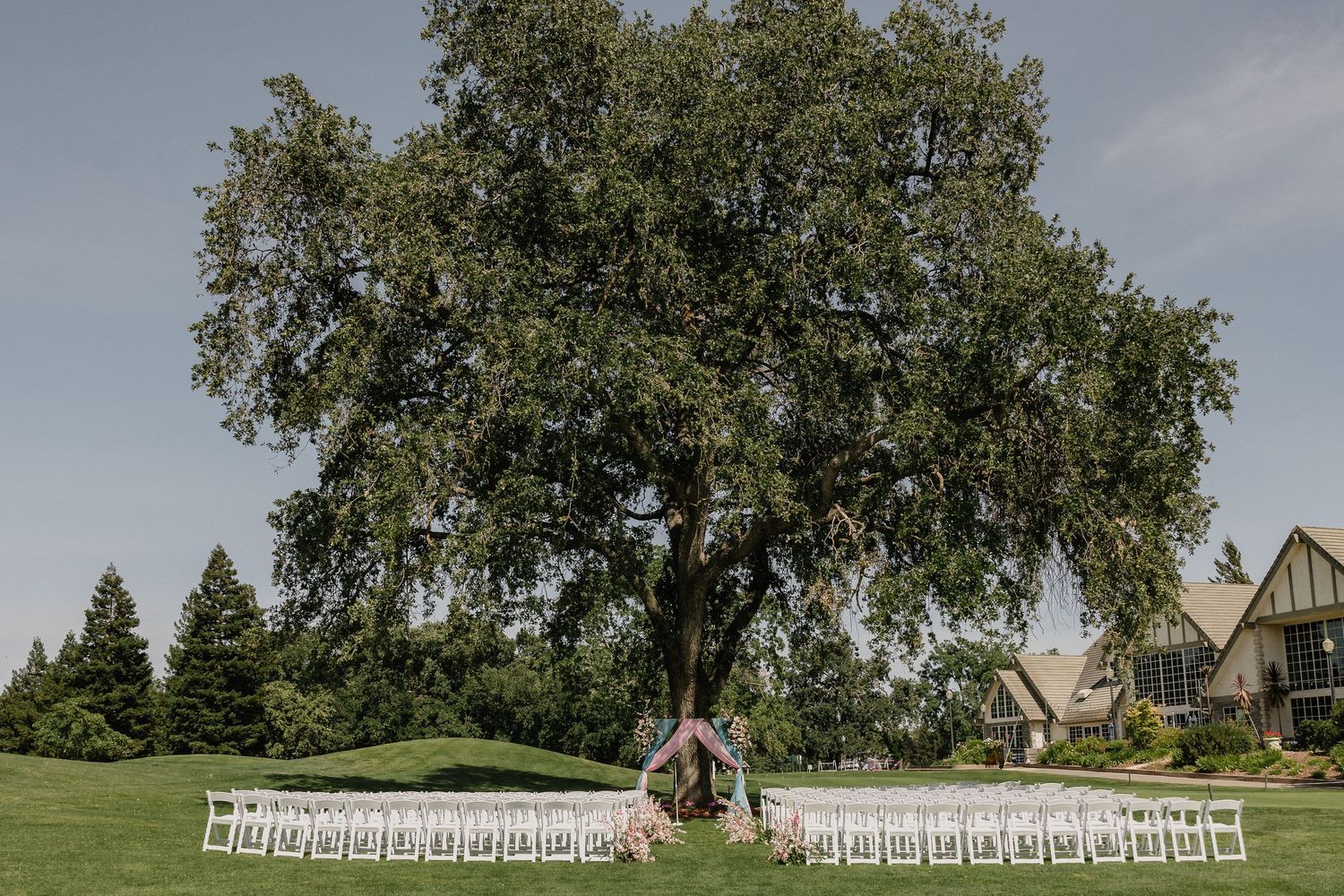 Rows of white chairs set up for an outdoor ceremony under a large tree on a manicured green lawn.