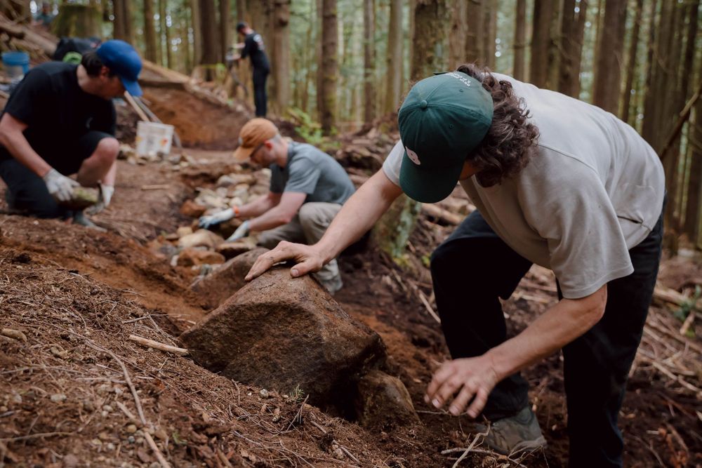 A group of people work together digging and building mountain bike trails in a dense forest setting.