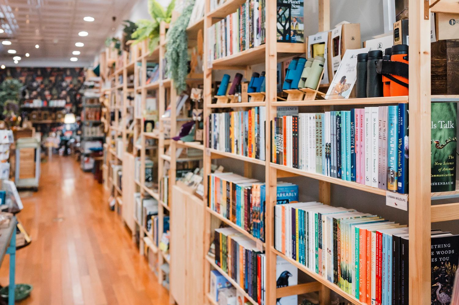 Rows of wooden bookshelves lined with colorful books stretch down a warmly lit bookstore aisle with hardwood floors.