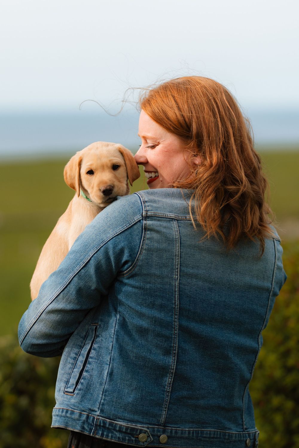 A person in a denim jacket holds an adorable yellow Labrador puppy against a scenic outdoor background.