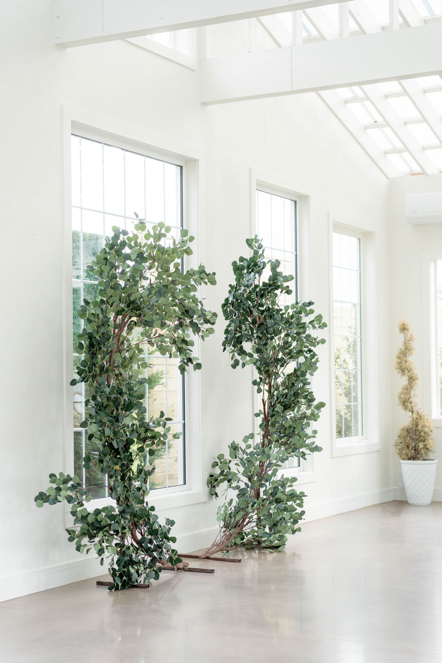 Luxe Glasshouse - SC Elopement Photographer