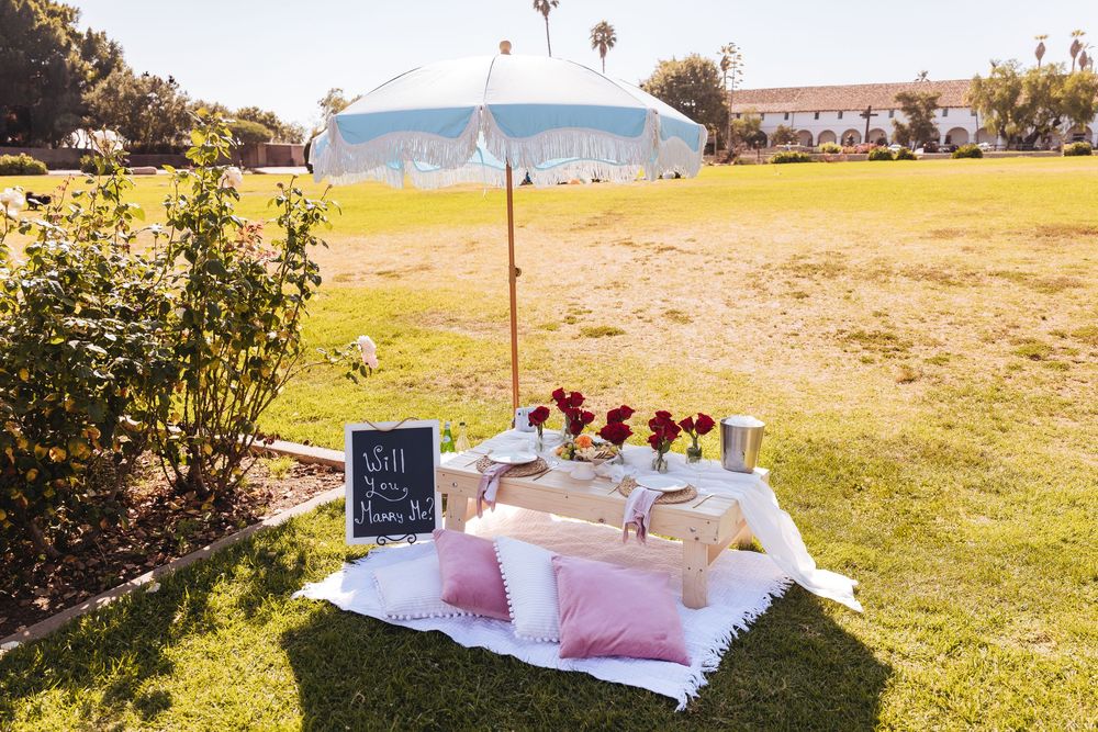 Outdoor picnic proposal setup with striped umbrella, red roses, pink pillows, and Will You Marry Me chalkboard sign.