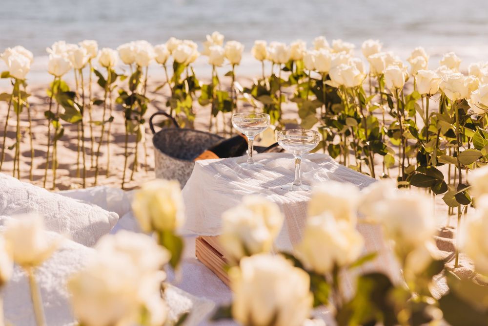 Romantic beach picnic setup with white roses, champagne glasses, and a bottle on a white blanket by the ocean.
