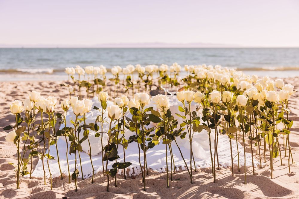 White roses arranged in sand on a sunny beach with ocean backdrop, perfect for a romantic wedding ceremony.
