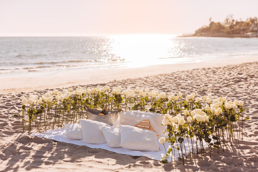 White roses and pillows arranged on a blanket for a romantic beach picnic setup at sunset.