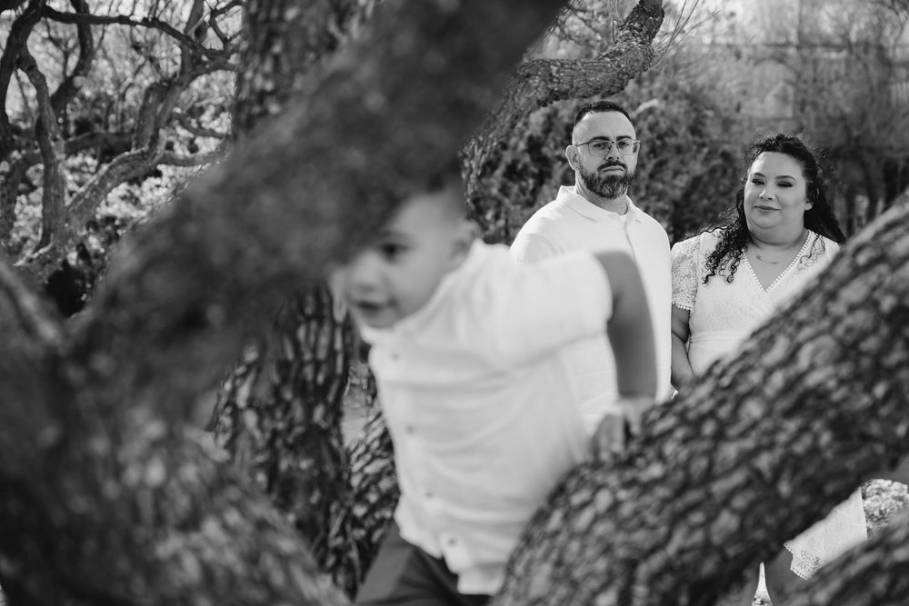 Black and white family photo with parents watching child climb a tree outdoors.