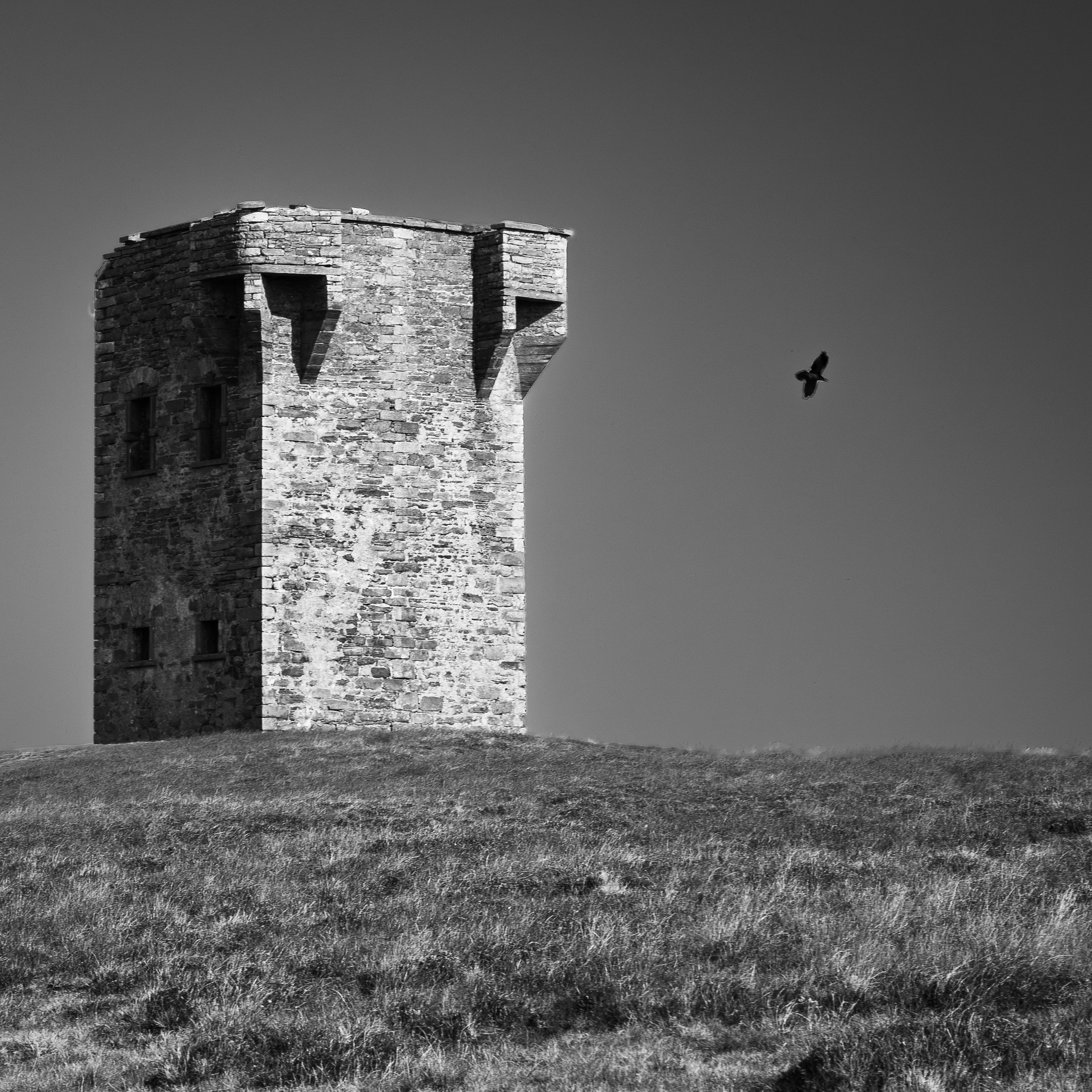 Black and white photo of an ancient stone tower on a grassy hill with a bird soaring in the clear sky.