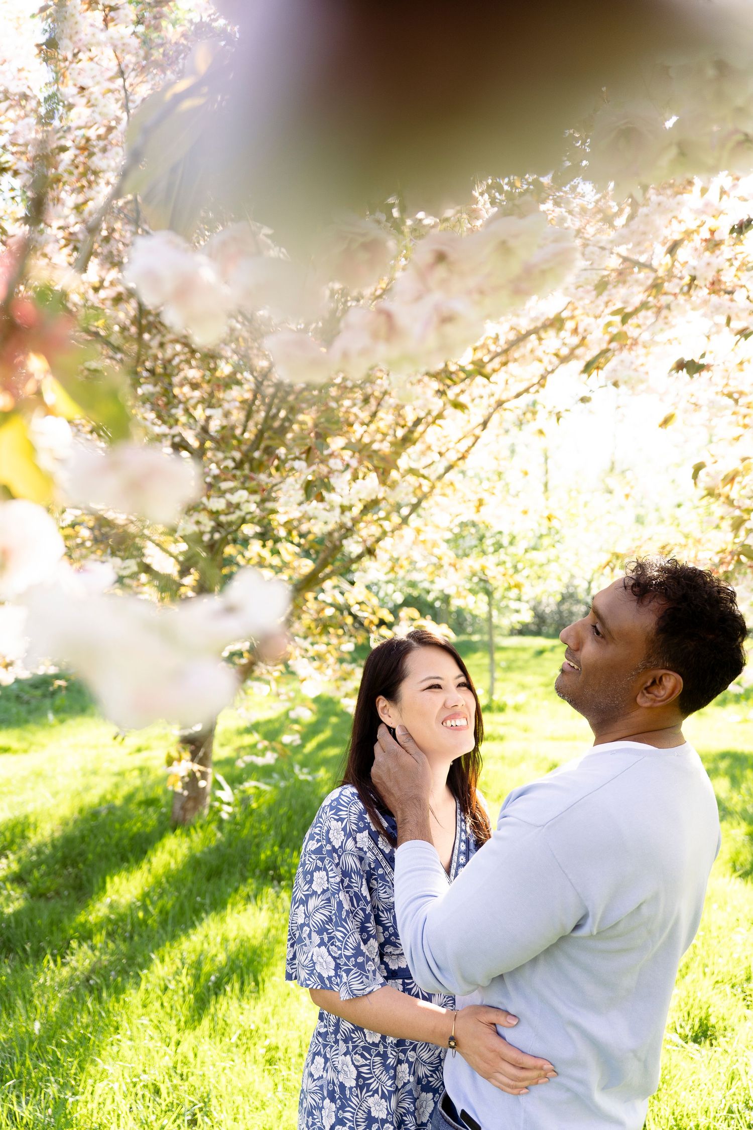 Couple embracing under blooming cherry blossom trees in sunny park, sharing a romantic moment outdoors.