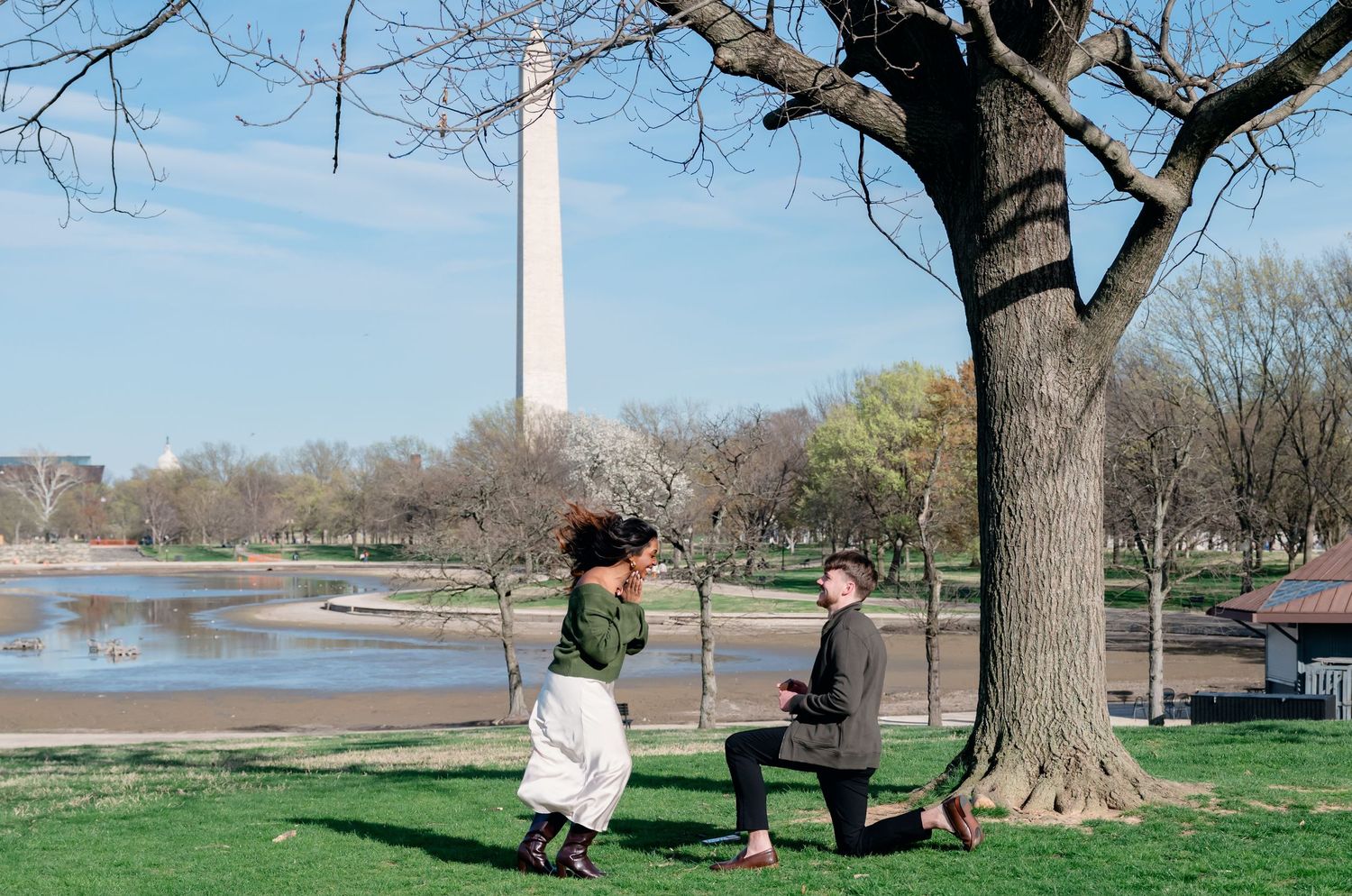 Washington DC Surprise Proposal