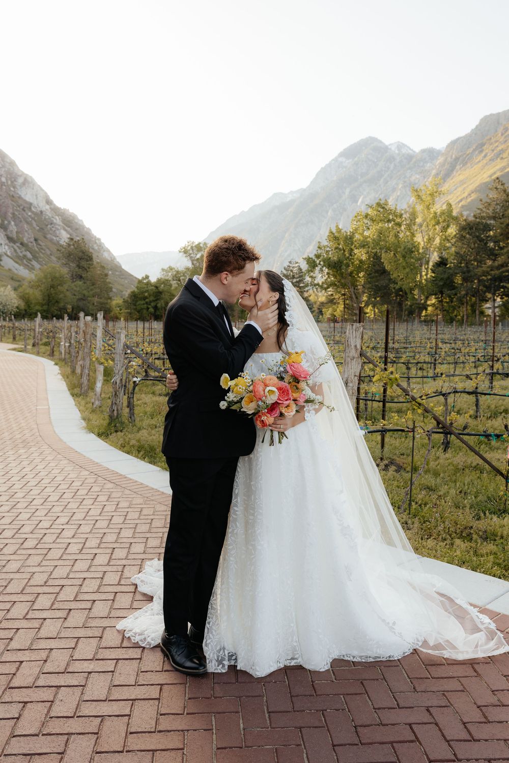 A groom tenderly kisses his bride on the cheek in a vineyard with dramatic mountain views in the background.