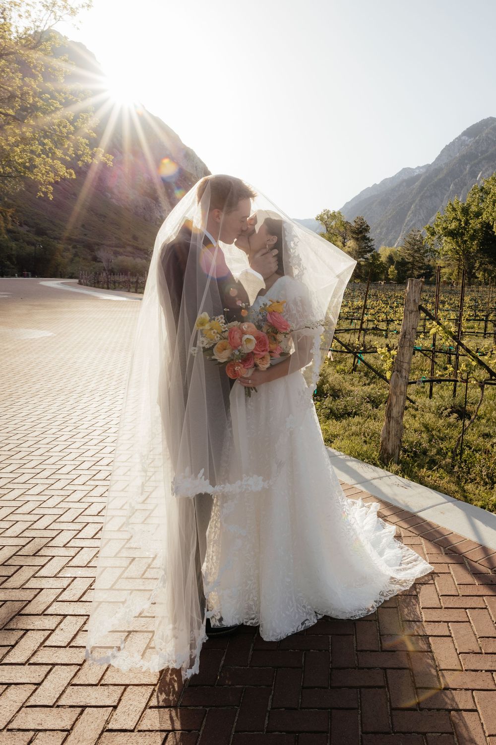 Bride and groom sharing a romantic kiss backlit by golden sunlight with a stunning mountain vineyard backdrop.
