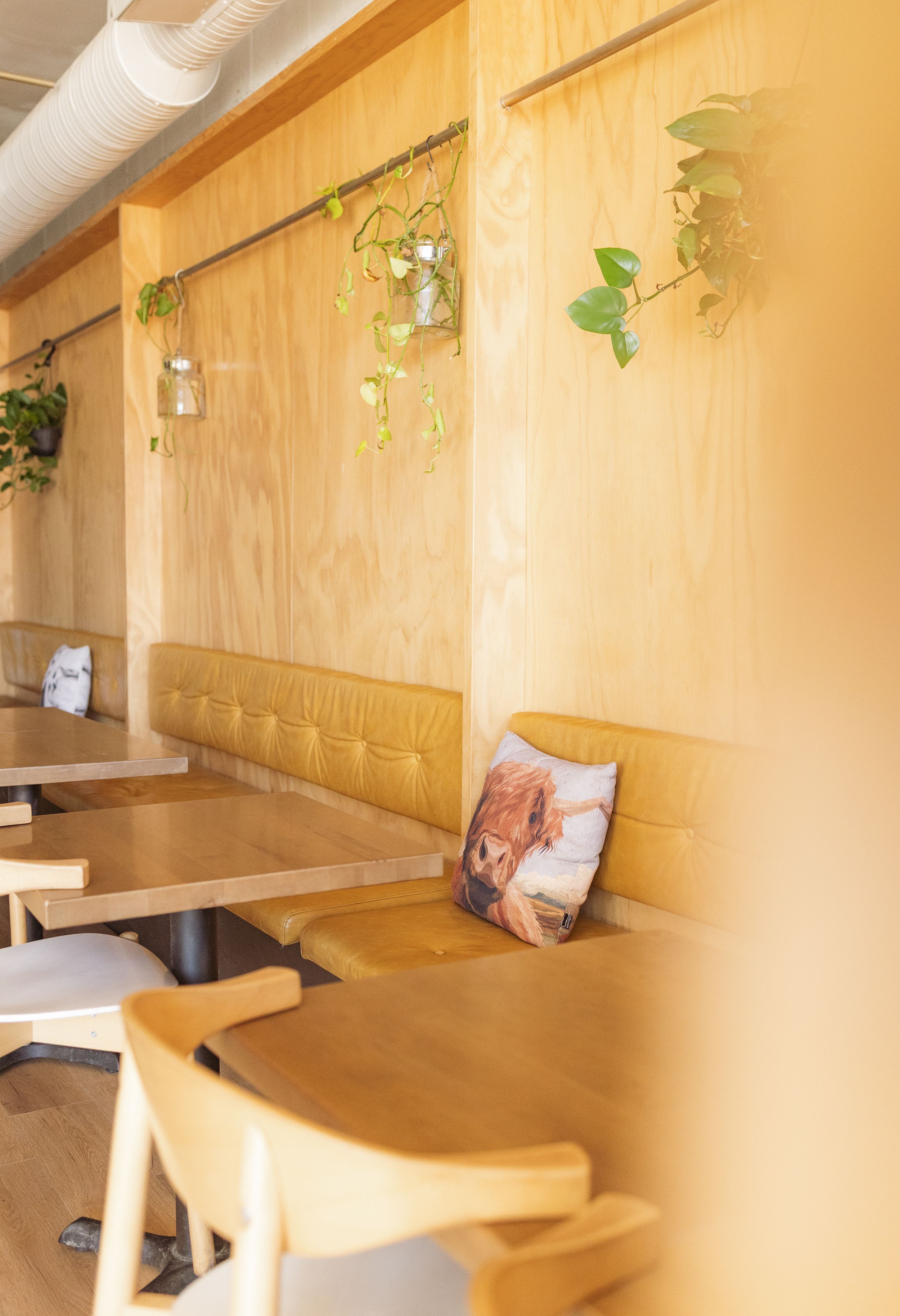 Built-in wooden bench seating with natural plywood walls creates a minimalist dining area in a modern interior space.