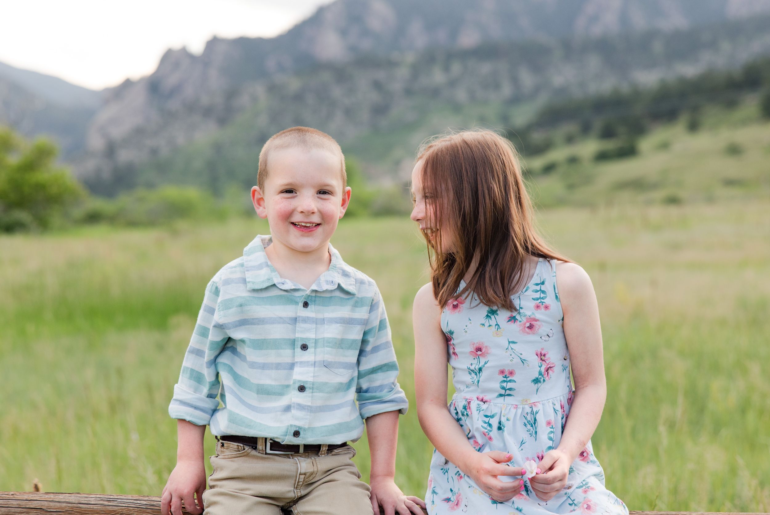 Children in coordinated blue and floral outfits sit together in a sunny mountain meadow during a family photoshoot.