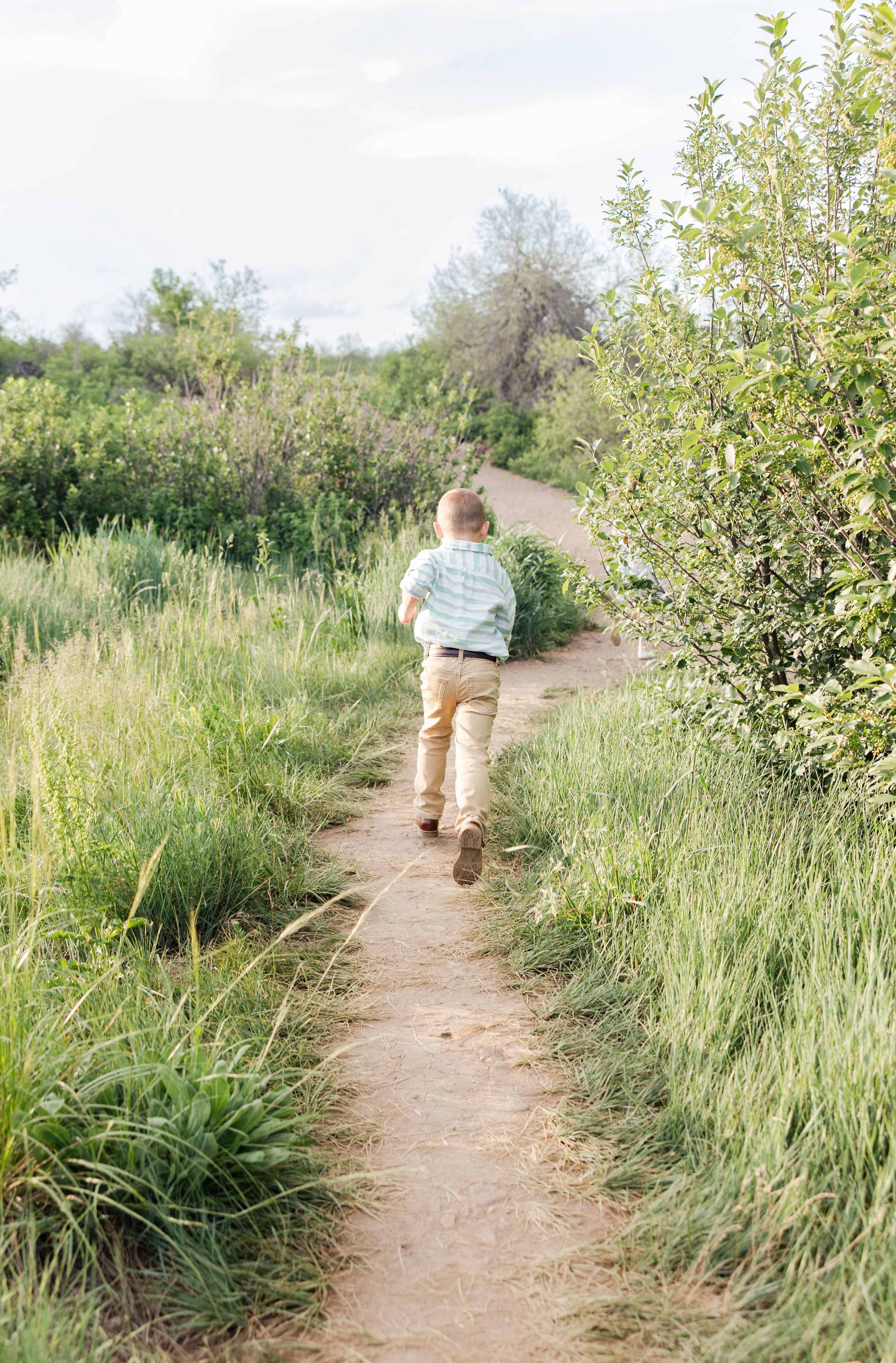 A dirt trail winds through tall grass and bushes in a natural outdoor setting surrounded by green vegetation.