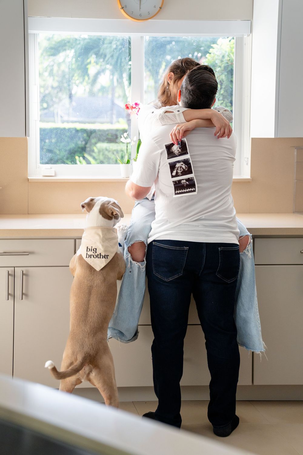 Sweet family moment in kitchen with pet dog looking up at window ledge, ultrasound photos visible.