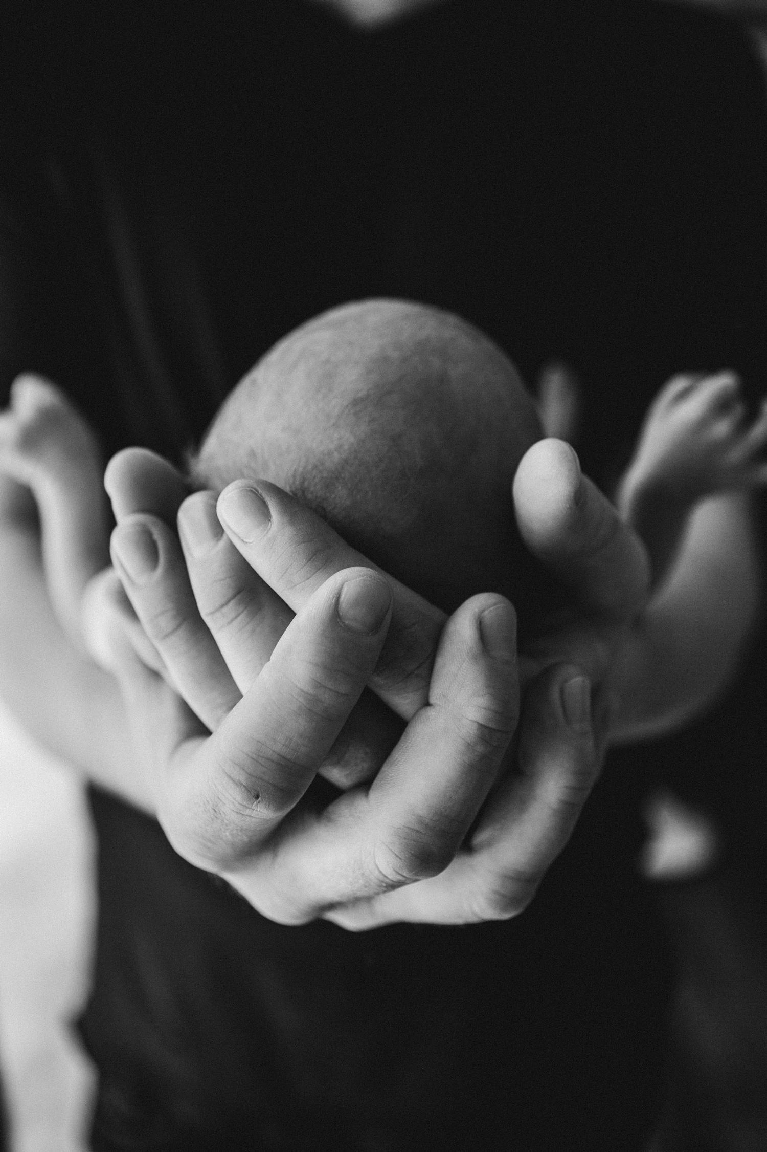 Close up black and white photo showing tiny baby fingers and hands against dark background.