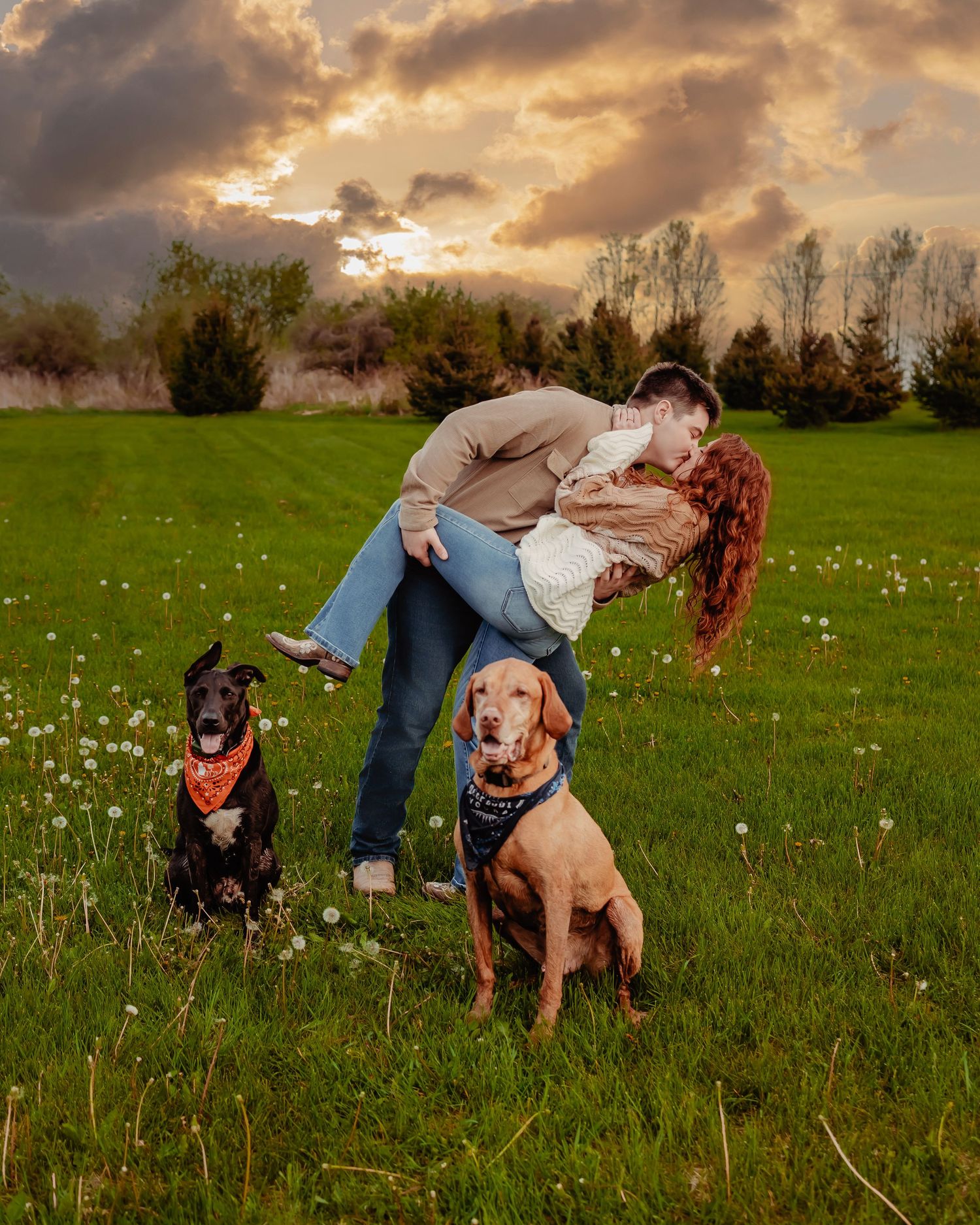 A romantic sunset photoshoot in a wildflower field with two well-behaved dogs sitting patiently in the foreground.