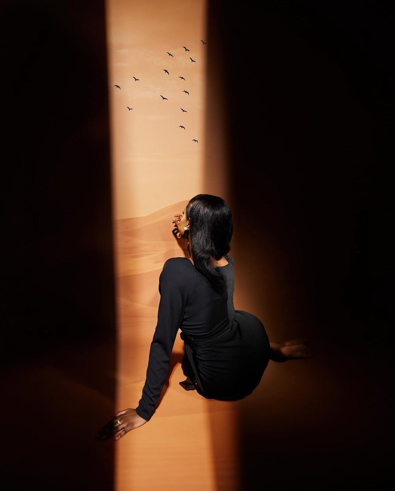 Artistic silhouette photographs showing a figure in black against warm lighting and flying birds.