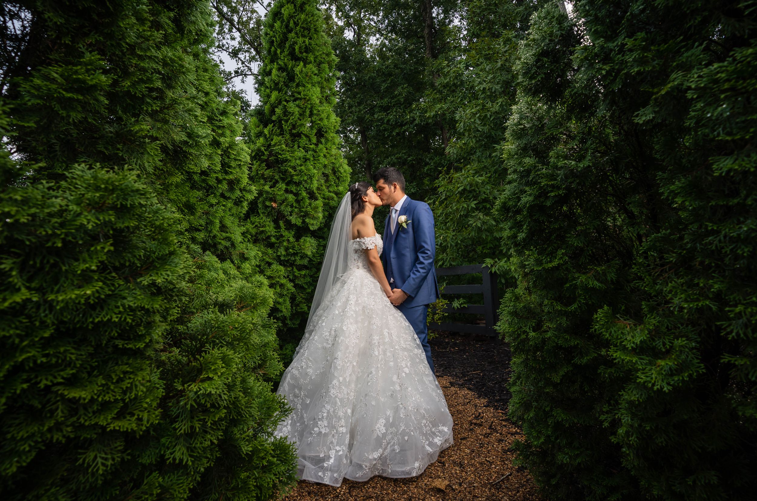A romantic wedding portrait showing a couple in formal attire embracing on a garden path surrounded by lush evergreens.