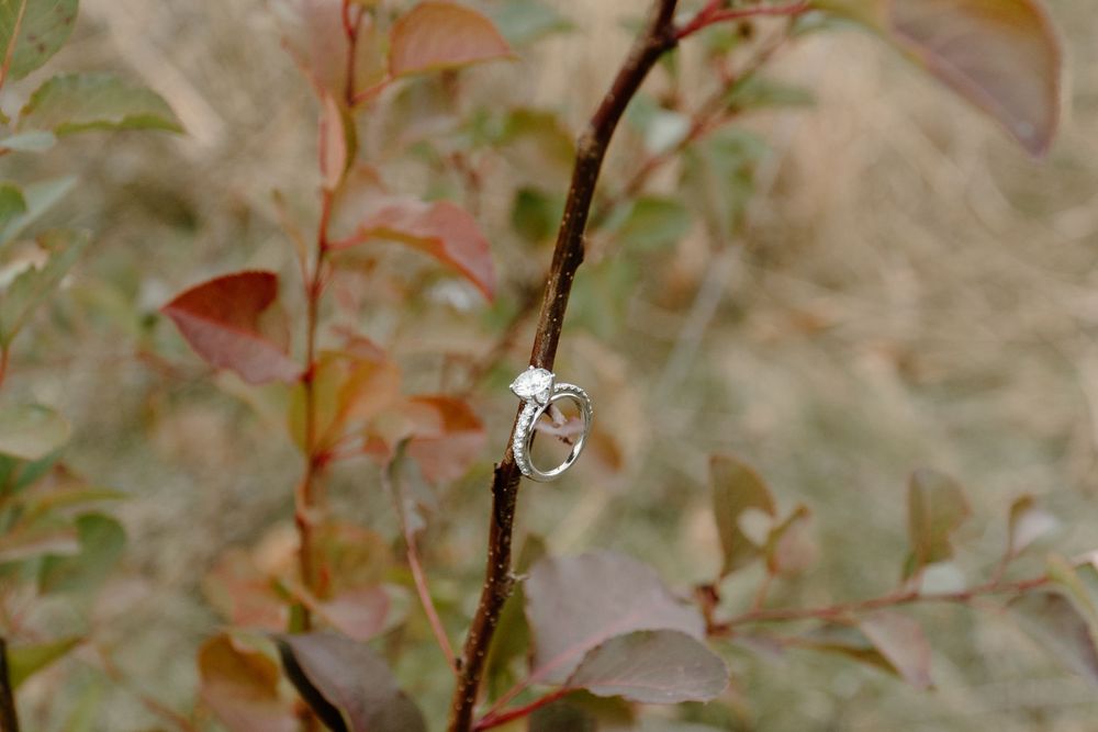 A delicate engagement ring sparkles on a branch with soft focus autumn leaves in the background.
