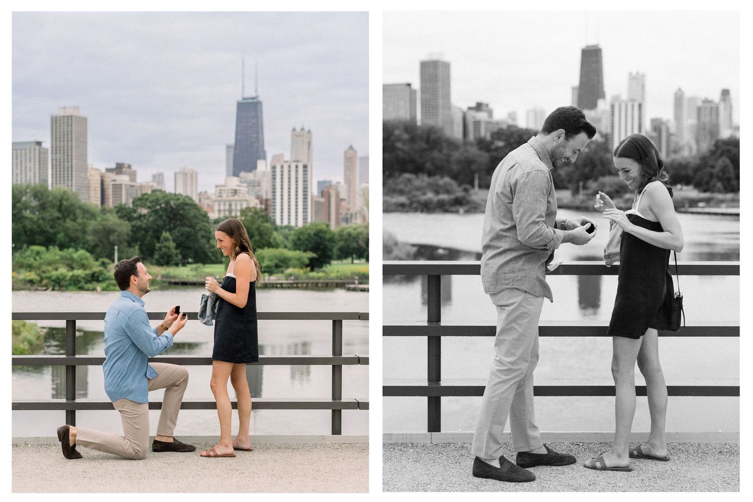Lincoln Park proposal at the nature boardwalk with candid engagement reaction in Chicago.