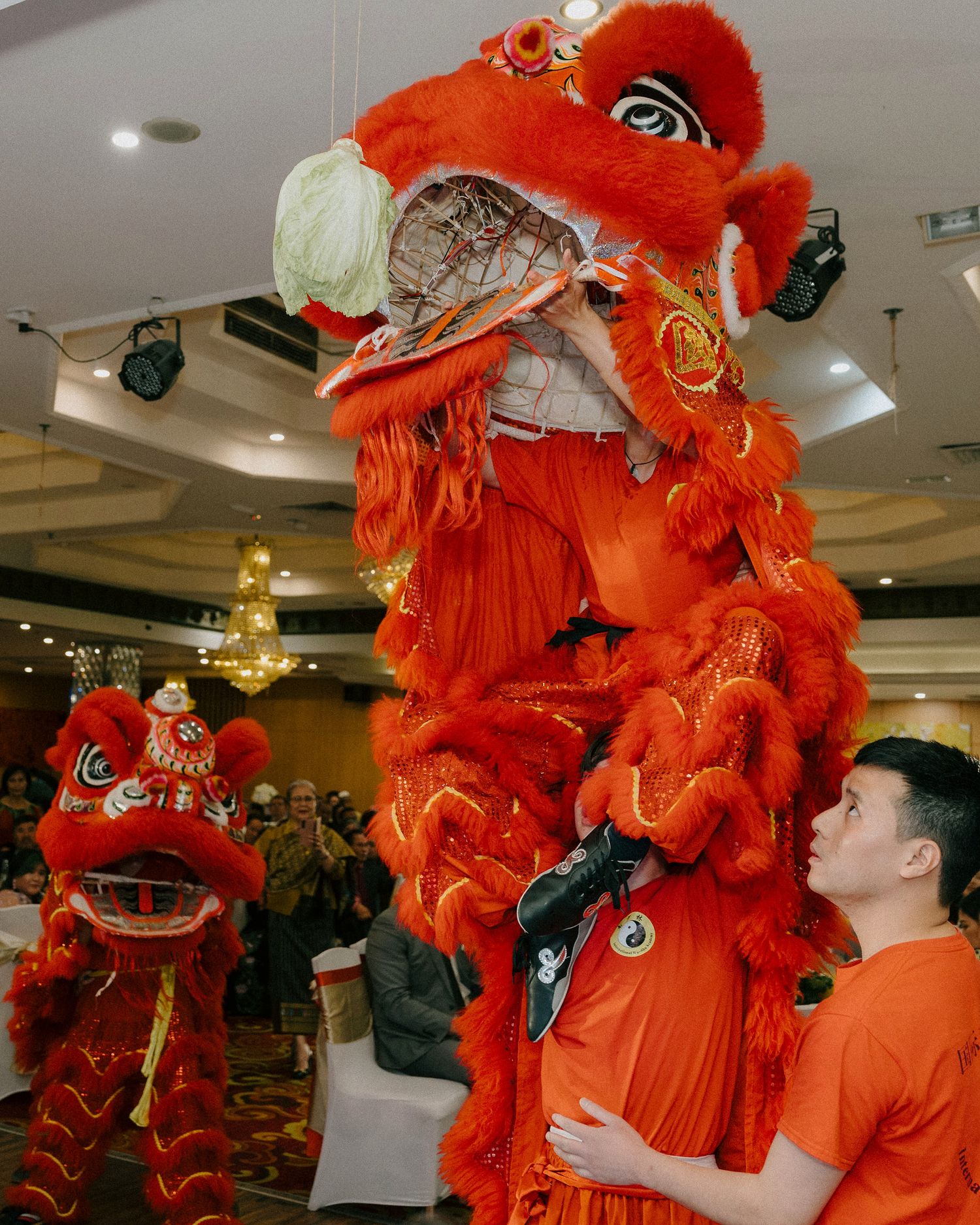 Vibrant lion dance at Landmark Sunnybank reception, photographed by a Gold Coast wedding photographer.”