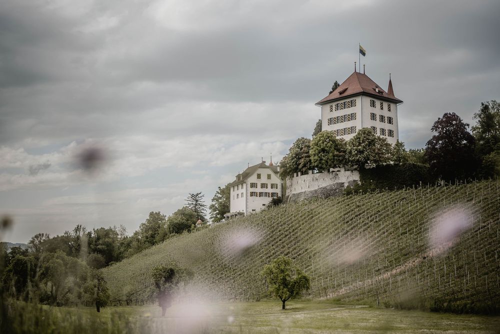 A majestic white castle on a hilltop surrounded by vineyards under moody clouds.
