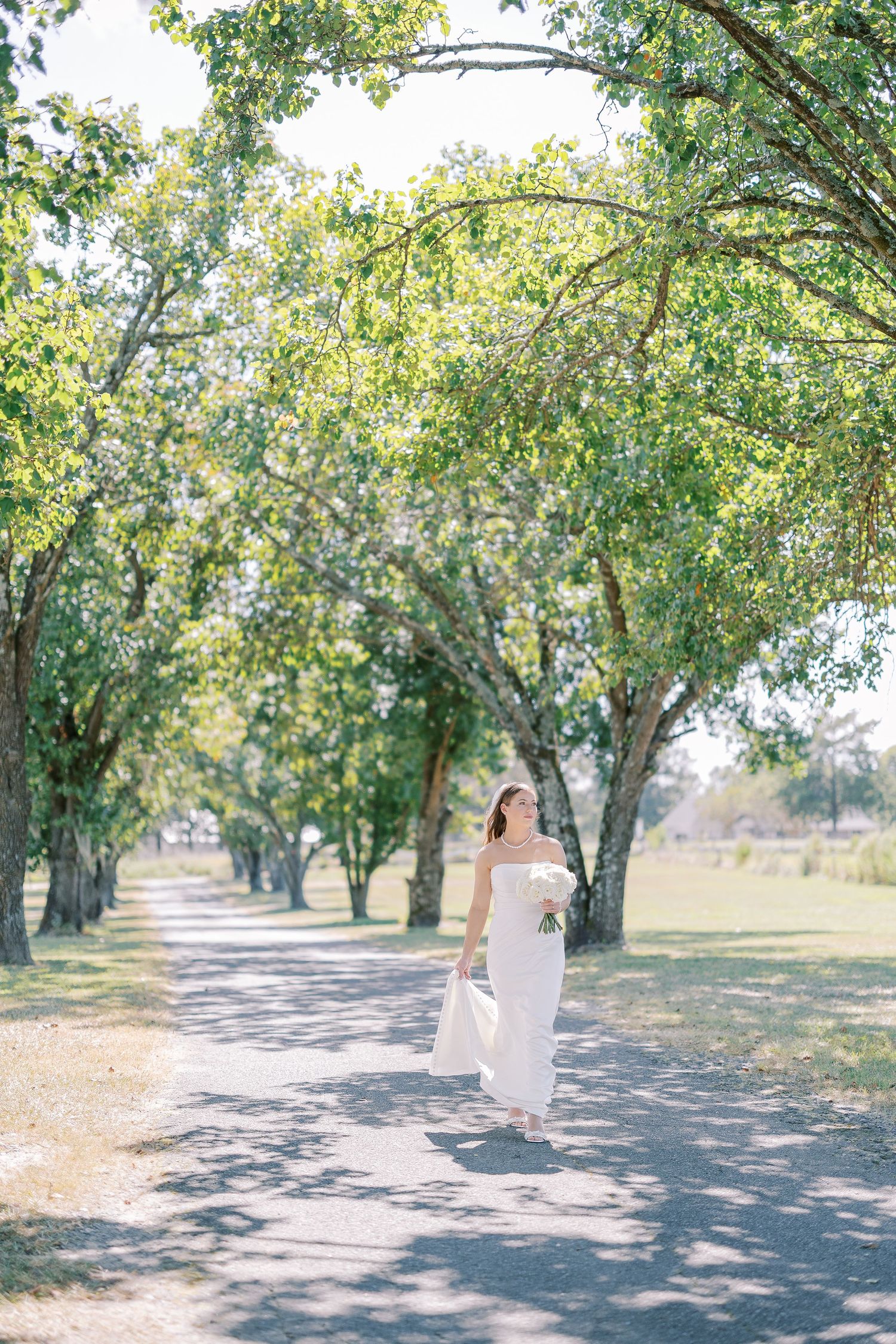 A glowing white wedding dress trail leads down a tree-lined path beneath a canopy of sunlit branches.