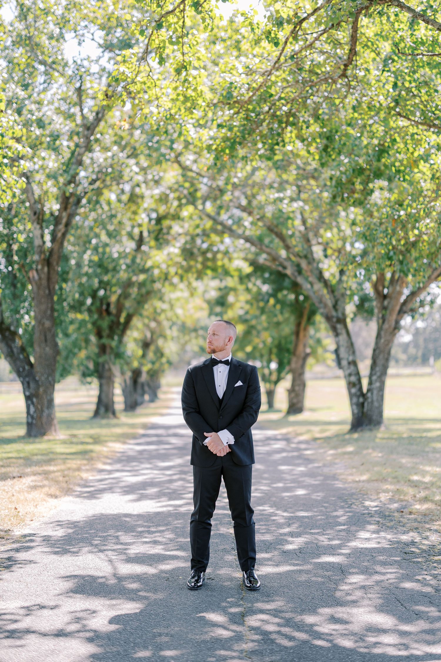 A suited figure walks through a scenic orchard path lined with green trees.