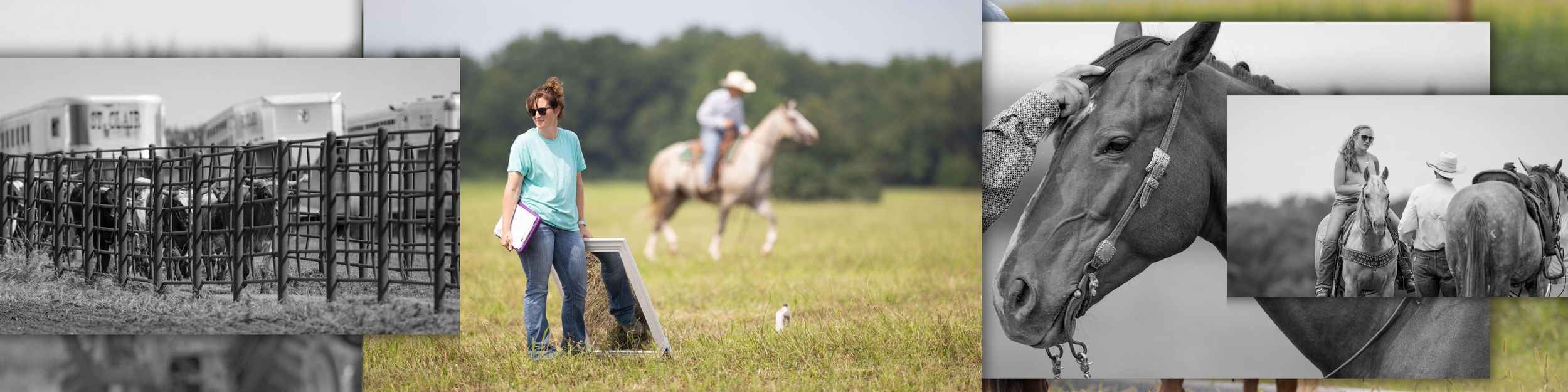 Three historic equestrian photos showing people with horses in different settings and time periods.