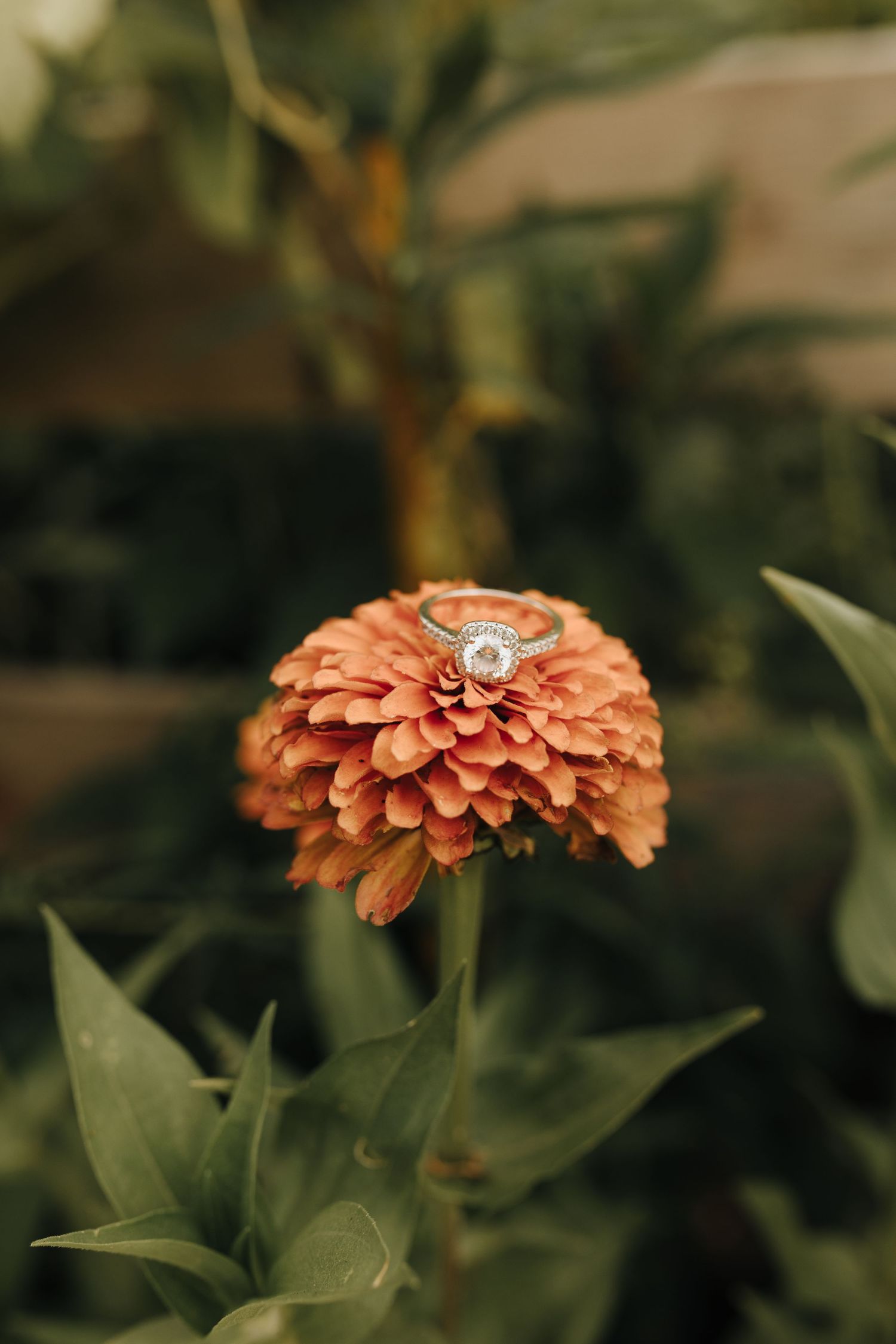 A detail shot of beautiful princess cushion cut engagement ring on a flower.
