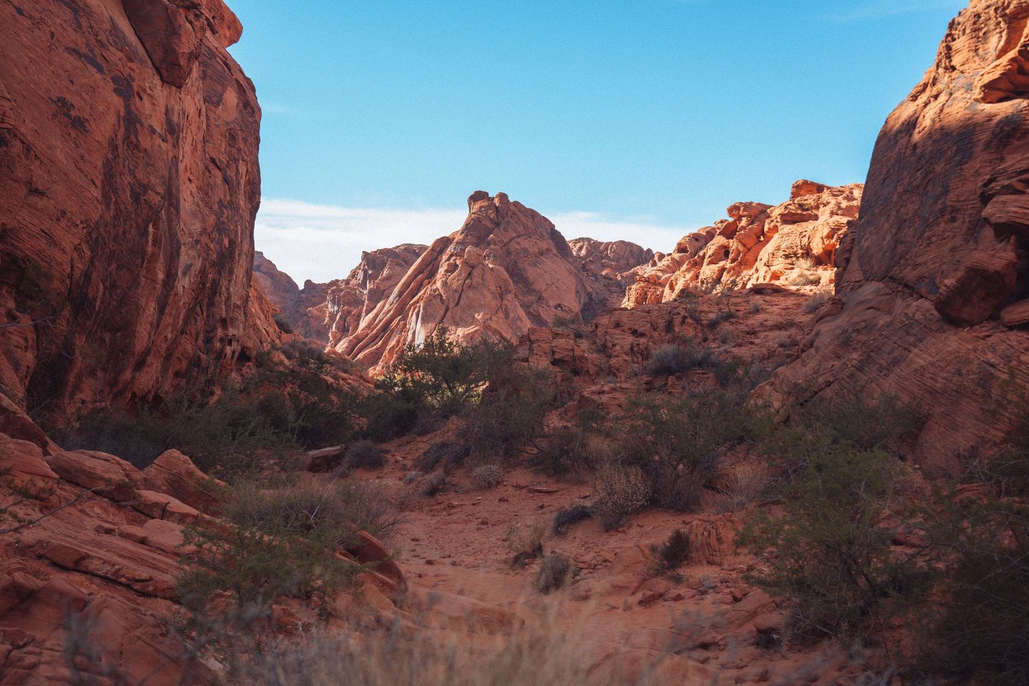 A panoramic view of a rustic desert lodge with wooden architecture nestled among trees against a bright blue sky.