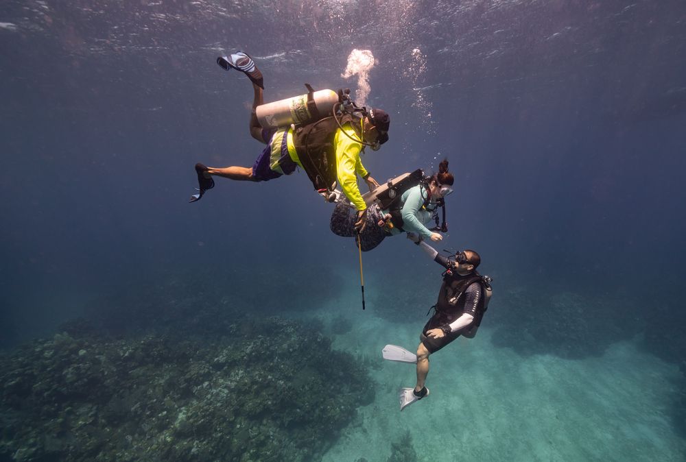 A series of underwater scuba divers swimming in clear blue water while holding cameras and diving equipment.