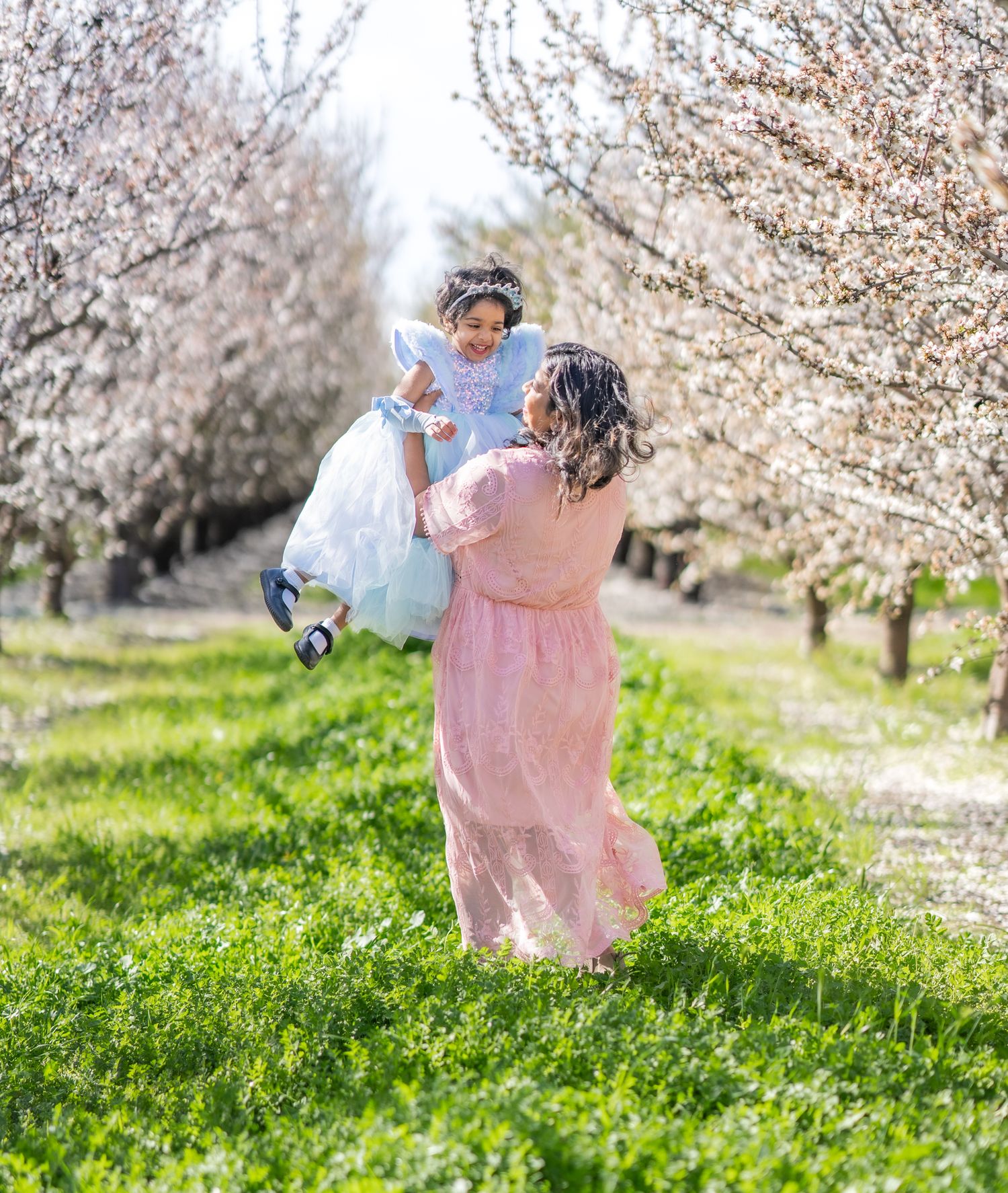 A sequence of photos showing someone in a pink dress twirling joyfully among blooming cherry blossom trees on a sunny day.