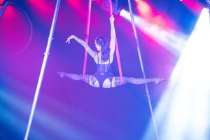 Dramatic stage lighting with vibrant pink and blue beams creating an atmospheric concert environment.