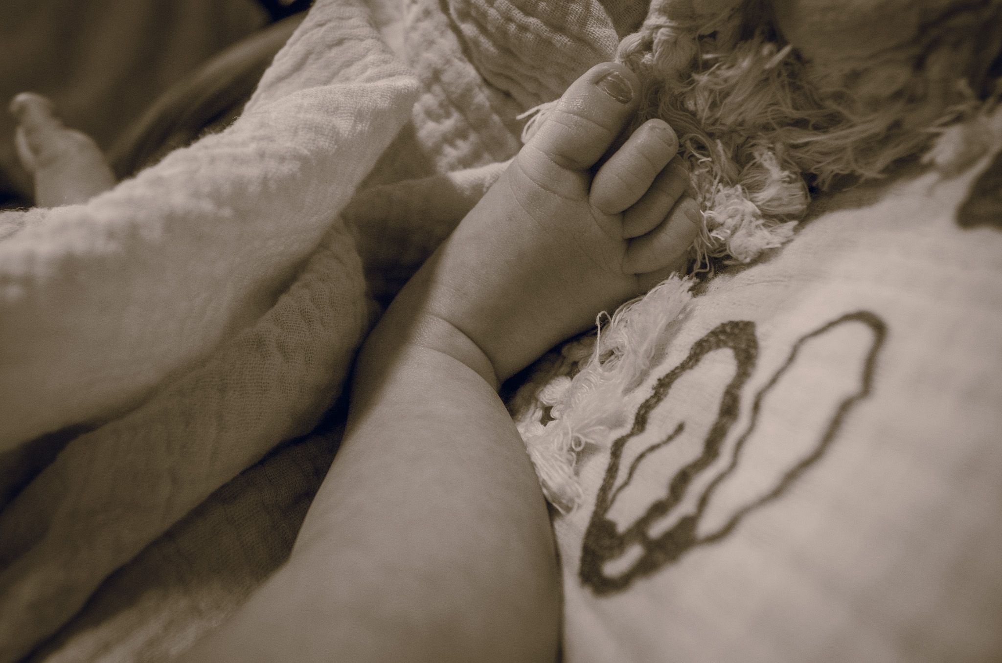 new born session