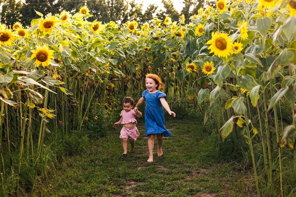Two happy children running through a vibrant sunflower field path on a sunny day.