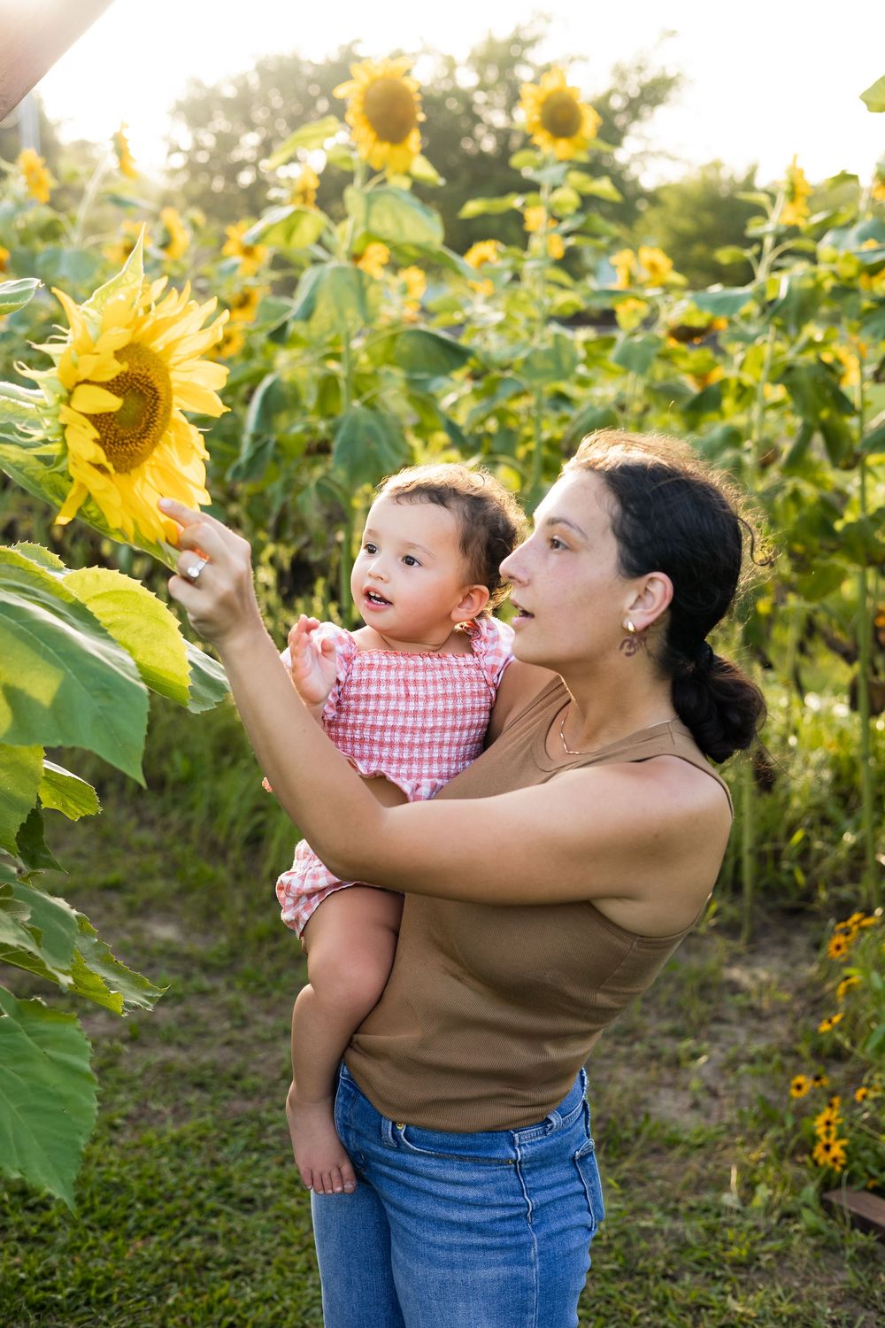 Mother holds baby girl near sunflowers in a sunny field, both admiring the bright yellow blooms.