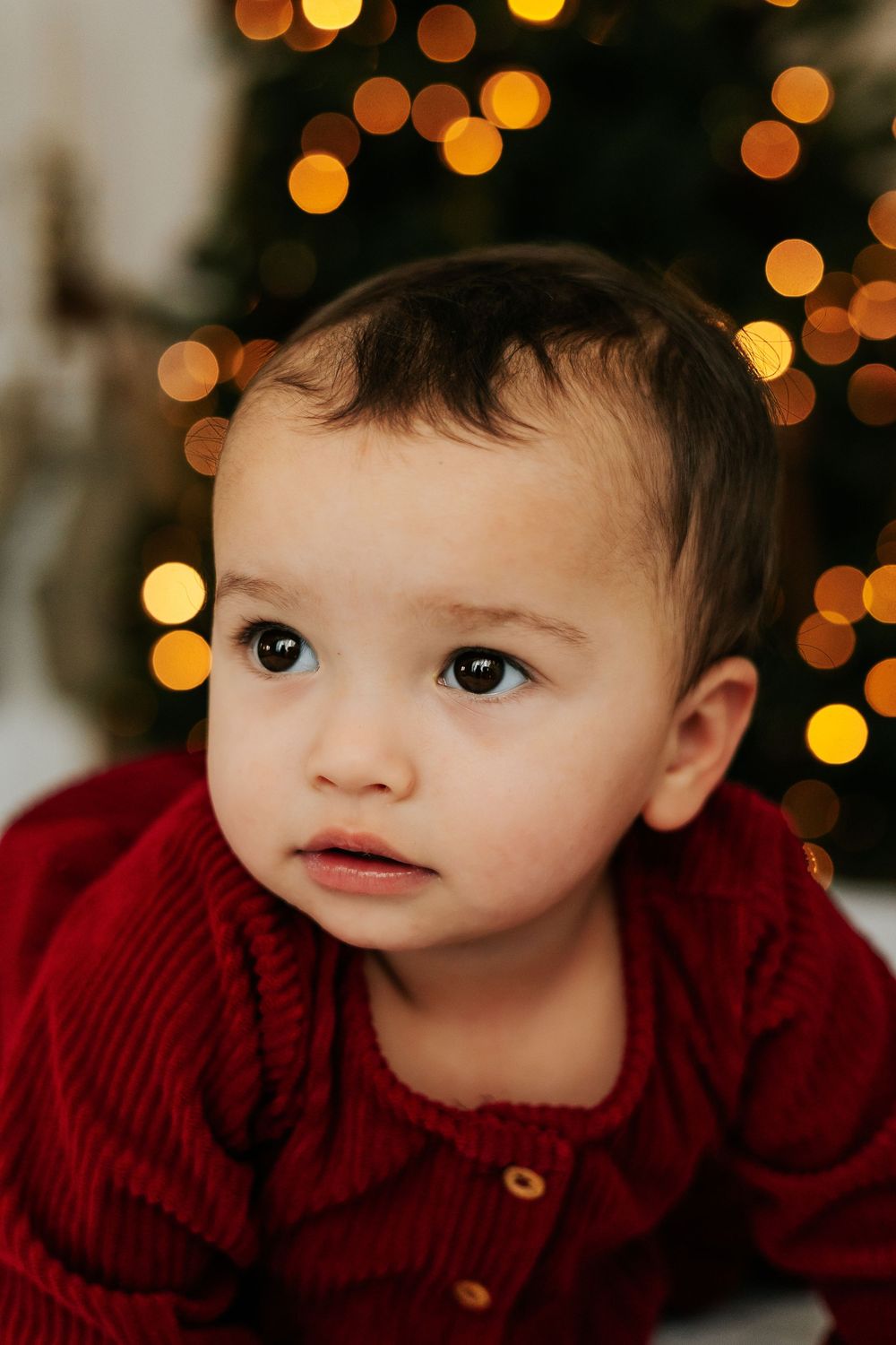 A toddler in a burgundy sweater gazes upward with bokeh lights twinkling in the background.