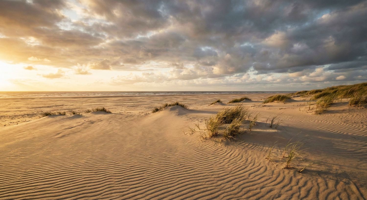 De Hors in Texel, fotografie locatie